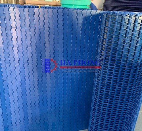Băng tải nhựa Hong’s belt HS 1000A