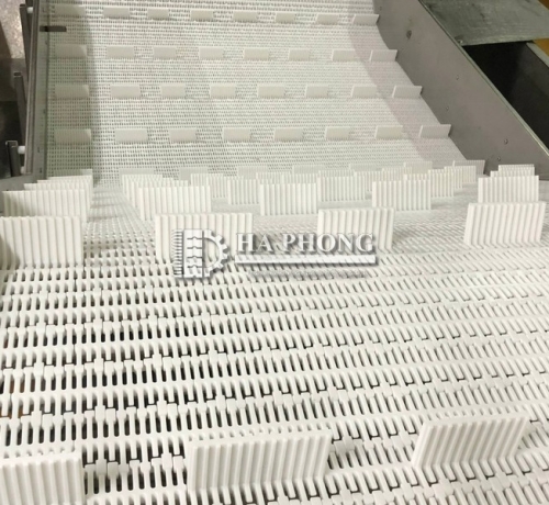 Băng tải nhựa Hong's belt HS-103B-HD-N