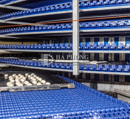 Băng tải xoắn ốc (Spiral Belt)