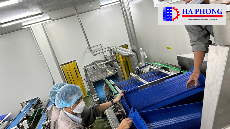 bangtaihaphong du an thuc te du an thabico tien giang 9