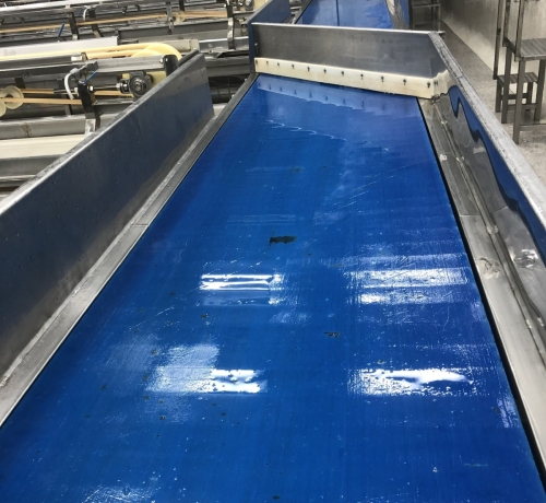 Băng tải PU đồng nhất Habasit trong ngành thực phẩm