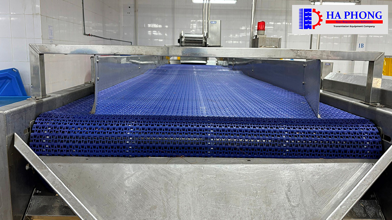 du an thuc te cung cap bang tai nhua lam rao cho nha may thuy hai san minh phu hau giang 9