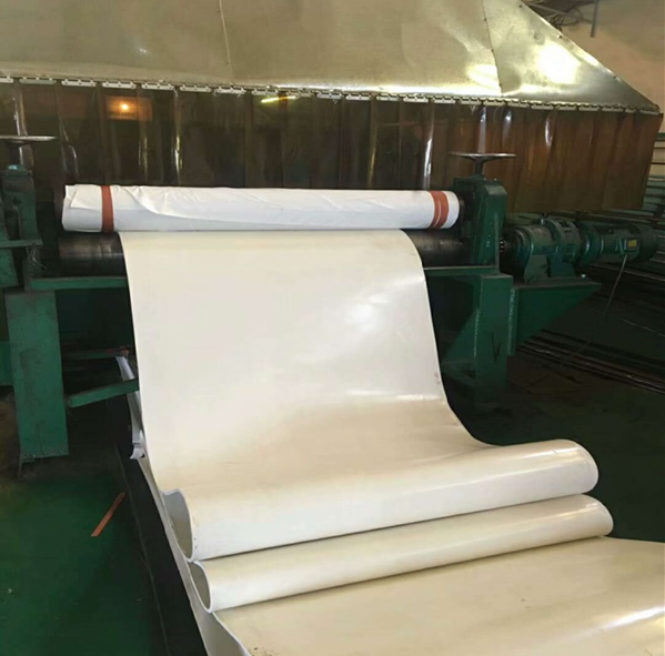 Băng tải nhựa PE